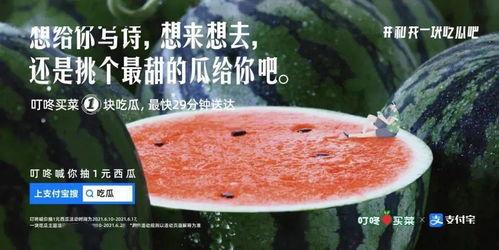 逆天吃瓜文案,揭秘娱乐圈那些不为人知的秘密