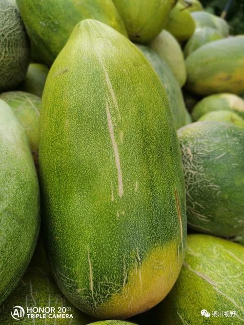 王家河吃瓜,一场夏日里的欢乐盛宴