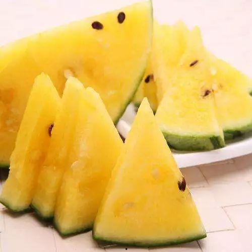 中国吃瓜以色列,一场独特的“吃瓜”之旅