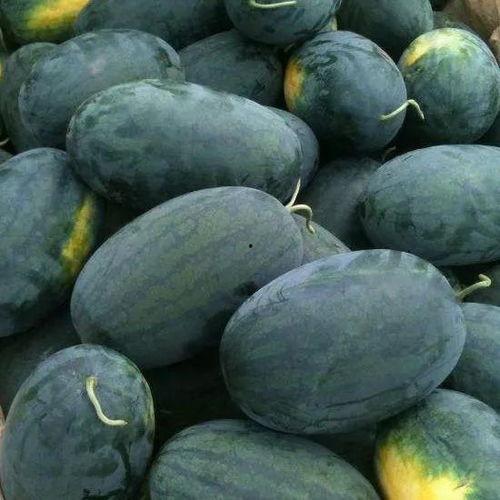 小京霖吃瓜,揭秘娱乐圈那些不为人知的幕后故事