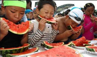 吃瓜比赛的奖品