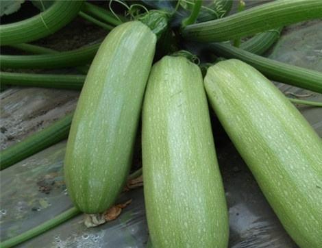 流西吃瓜,揭秘娱乐圈背后的那些事儿