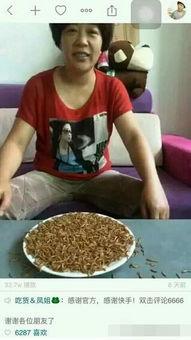 被迫吃瓜的音乐,音乐带你领略瓜界风云