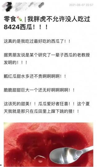 吃瓜群众6699答案,一场引人入胜的揭秘之旅