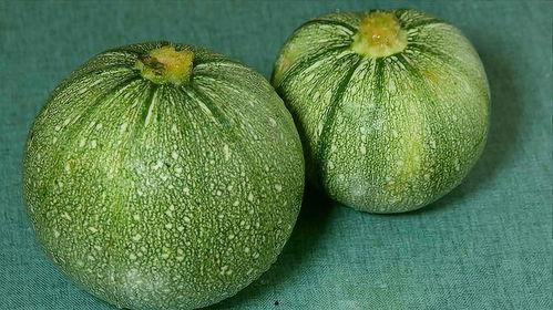 请问蓝瓜怎么吃最好,蓝瓜的最佳食用方法揭秘