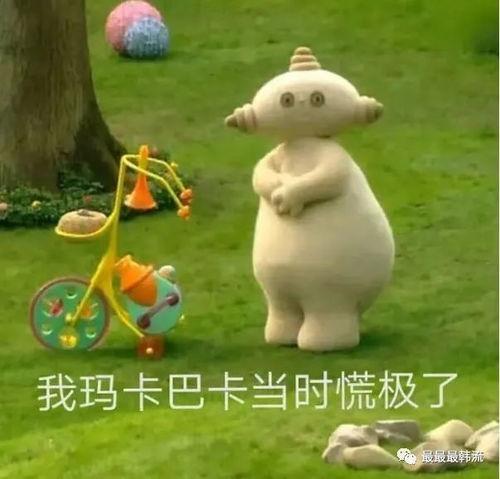 花园宝宝吃瓜群,共享童年快乐时光