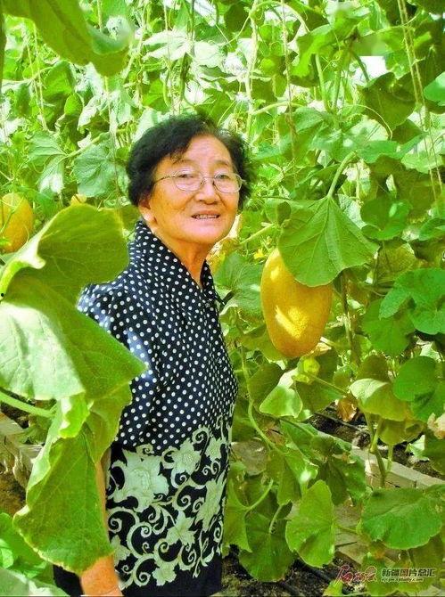 乔雨吃瓜,揭秘娱乐圈背后的那些事儿